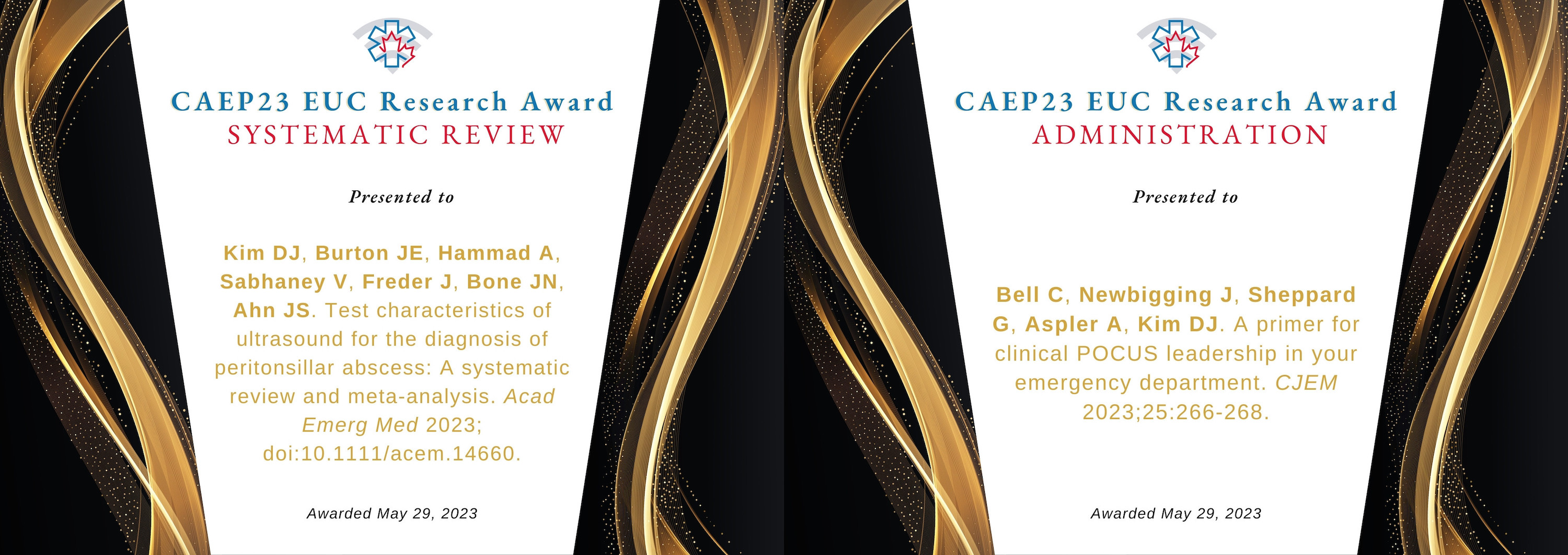 CAEP23%20EUC%20Research%20Award
